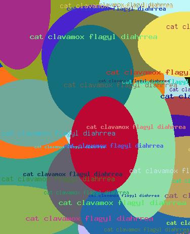 Cat clavamox flagyl diahrrea