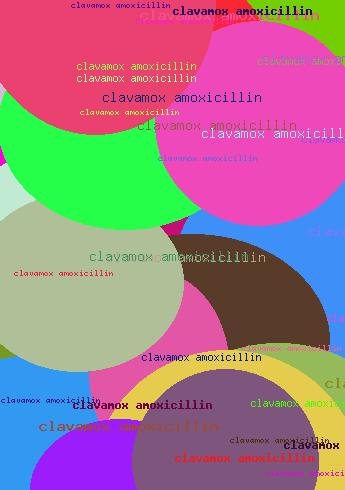 Clavamox amoxicillin