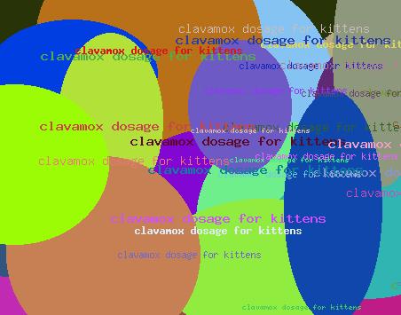 clavamox dosage for kittens